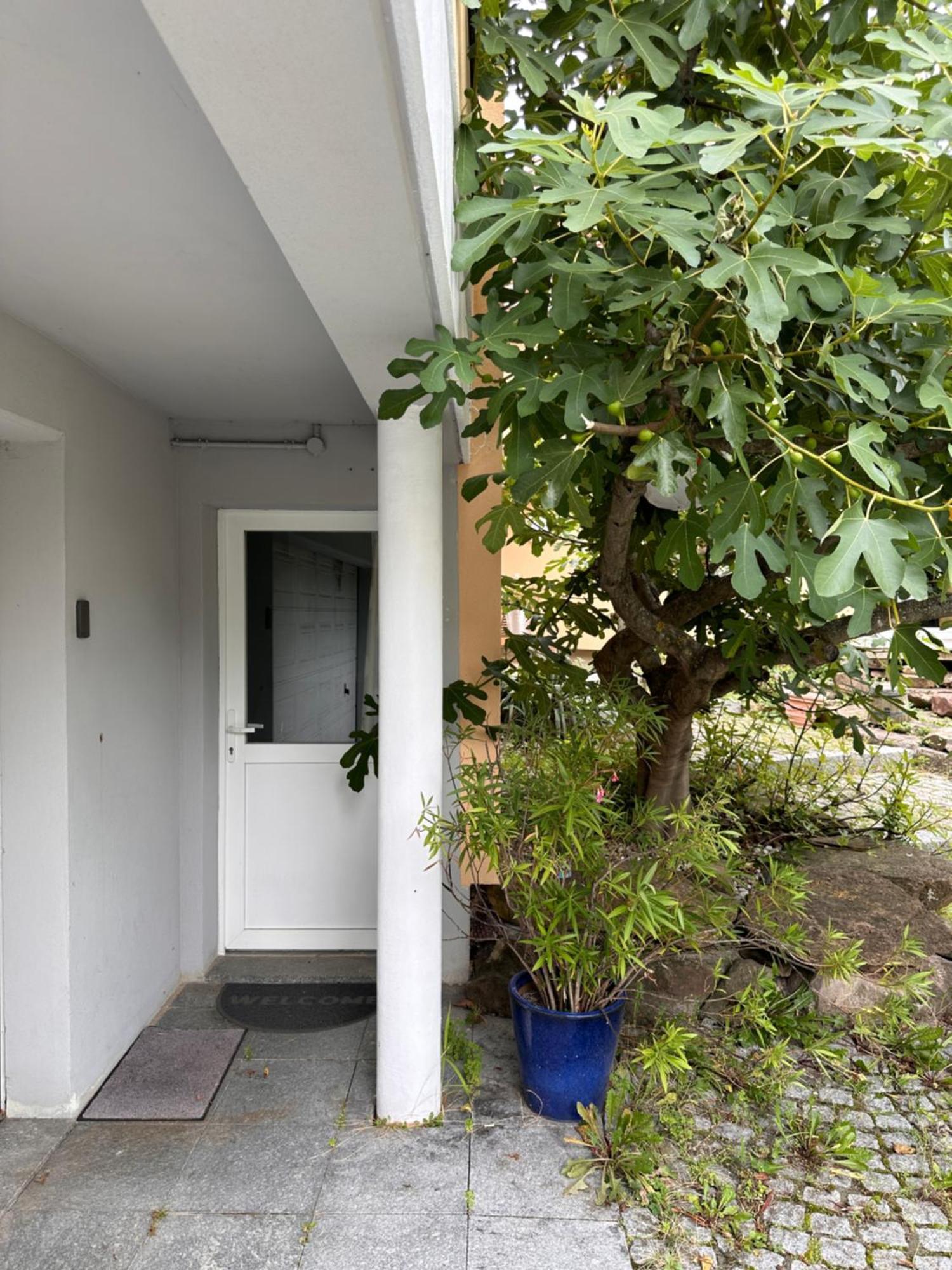 Chambre Privative Au Rez De Jardin Dans Villa La Wantzenau Exterior photo